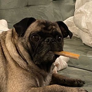 Meet your Posher, Rachel